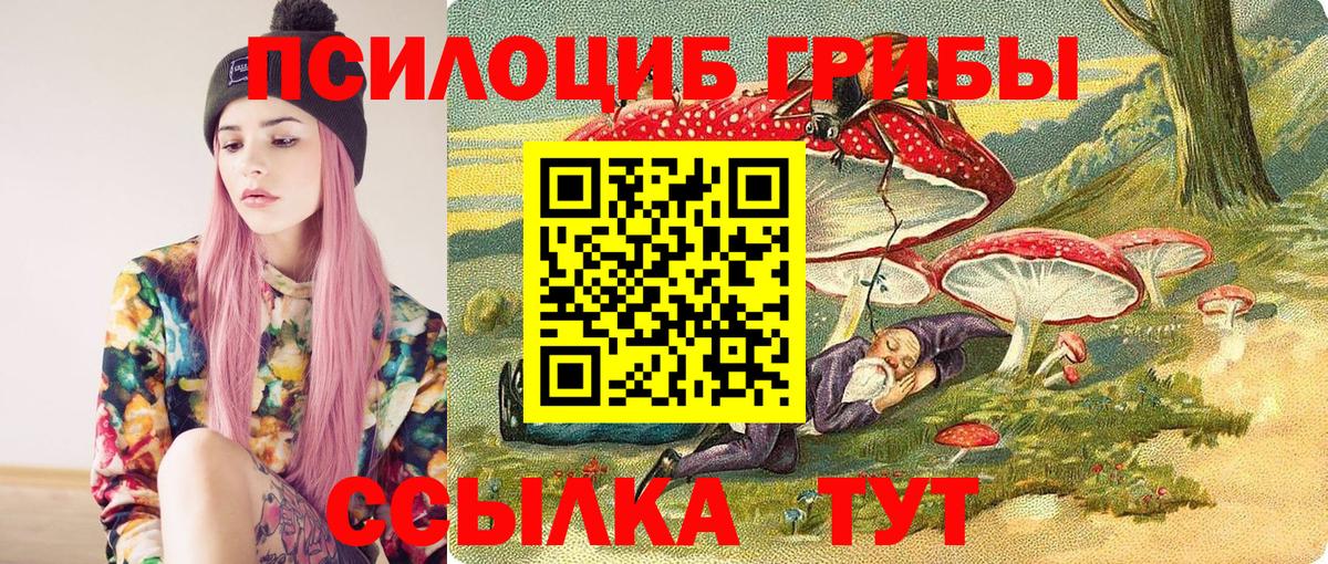 Галлюциногенные грибы Magic Shrooms  Вход с VPN  Псилоцибиновые грибы GOLDEN TEACHER  Тосно 